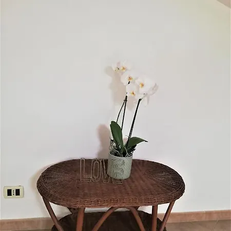 Cove - - 5 Terre Apartment Riomaggiore